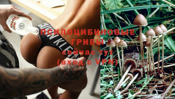 спиды Балахна